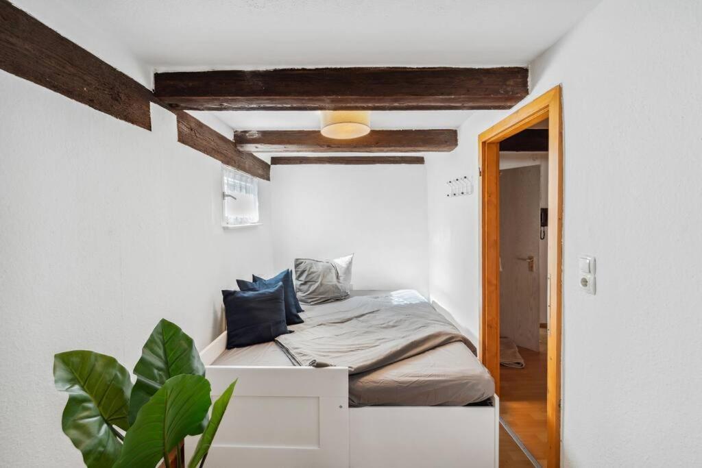 Zentrales, Rustikales Apartment Lauf an der Pegnitz Kültér fotó